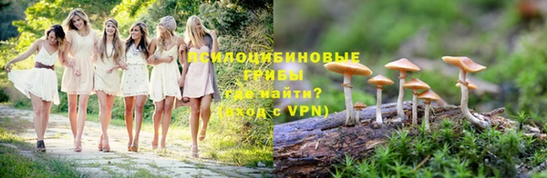 соль ск Приозерск