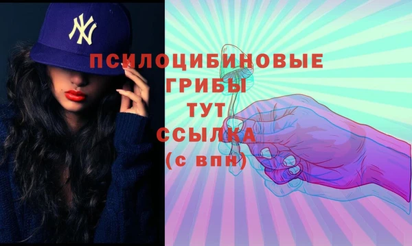 мяу мяу мука Протвино