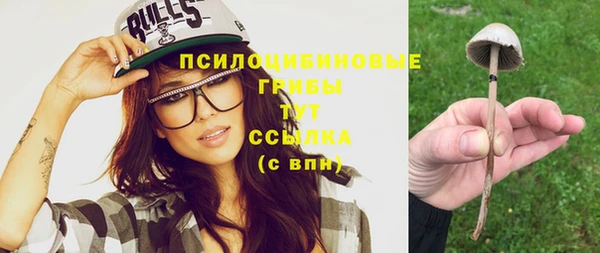 таблы Рославль